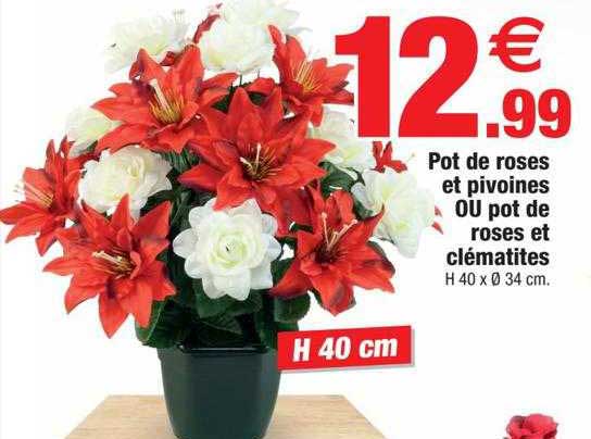 pot de roses et pivoines ou pot de roses et clématites