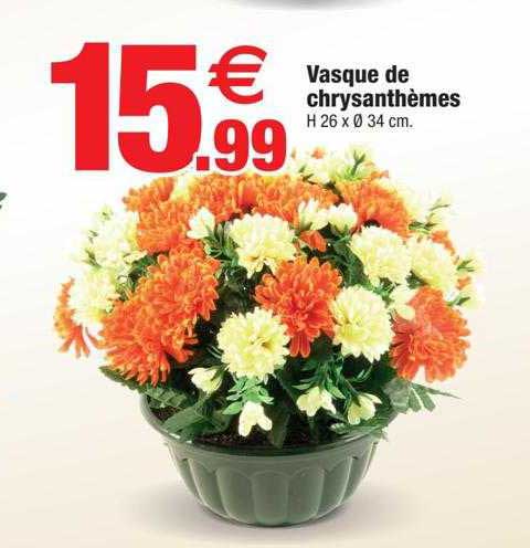 Vasque De Chrysanthèmes