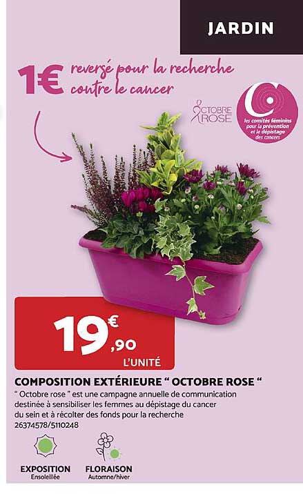 composition extérieure "octobre rose"