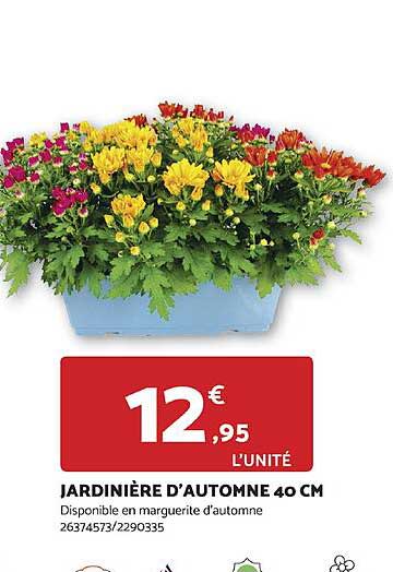 jardinière d'automne 40 cm