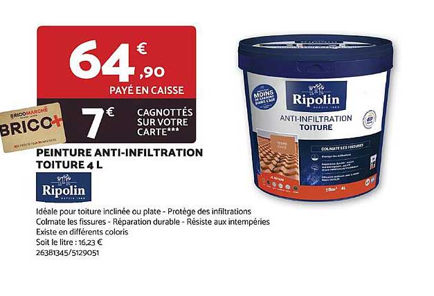 Peinture Anti-infiltration Toiture 4 L Ripolin
