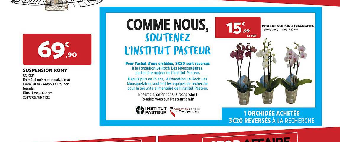 suspension romy, phalaenopsis 3 branches