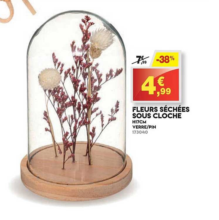 fleurs séchées sous cloche