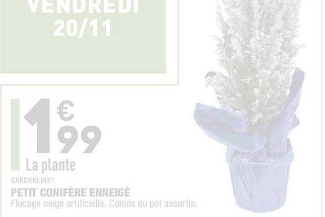 petit conifère enneigé gardenline
