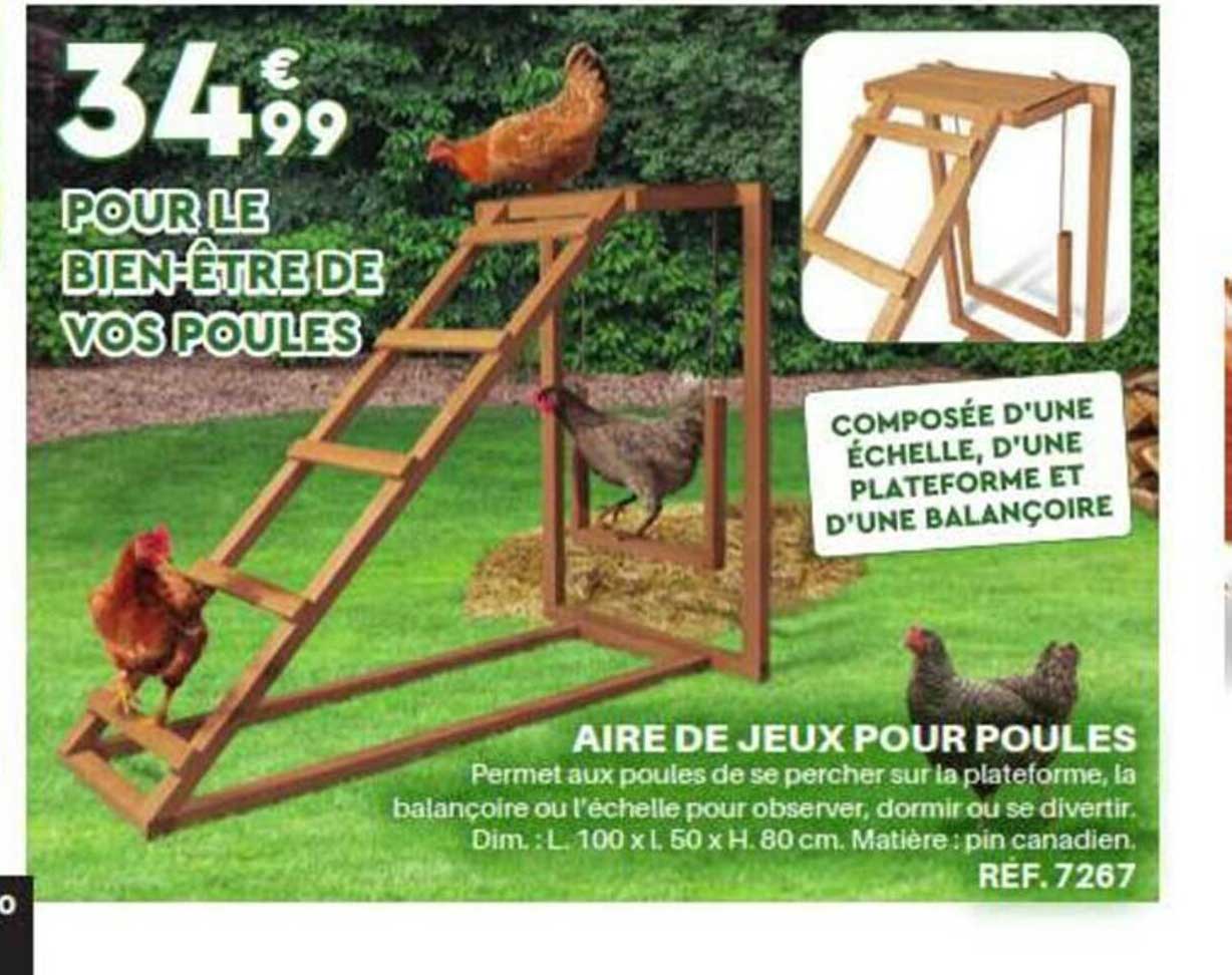 aire de jeux pour poules