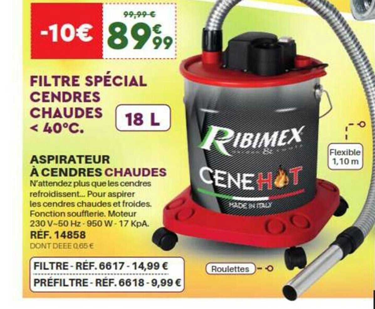 aspirateur à cendres chaudes