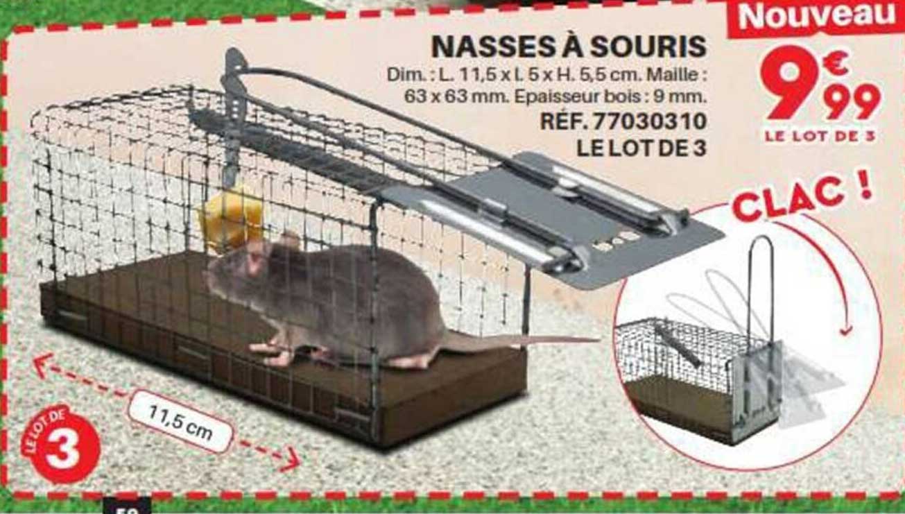 nasses à souris