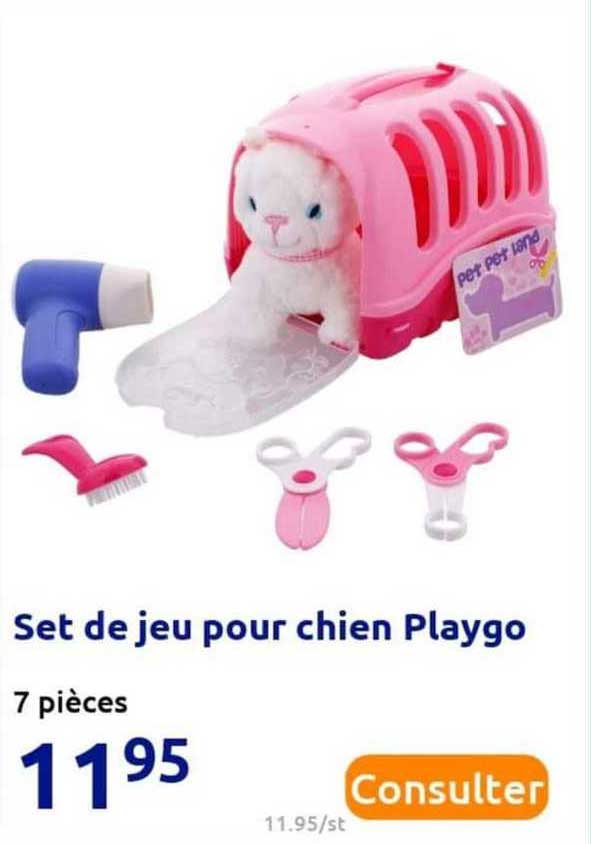 Set De Jeu Pour Chien Playgo