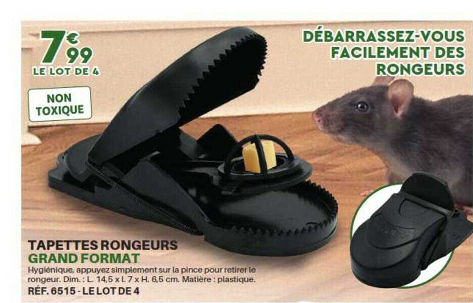 tapettes rongeurs grand format