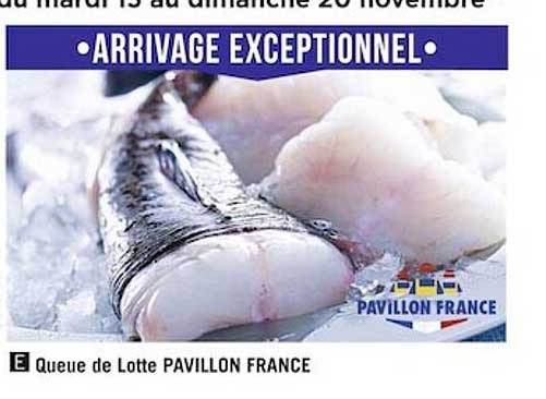 queue de lotte pavillon france
