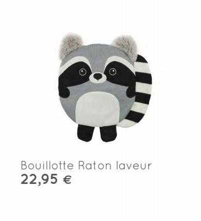 bouillotte raton laveur