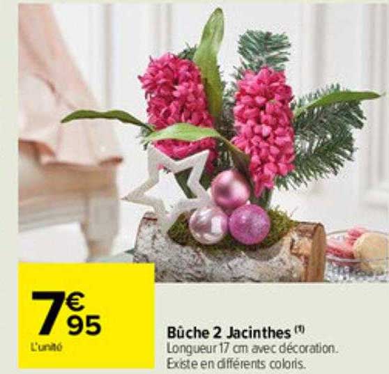 Bûche 2 Jacinthes