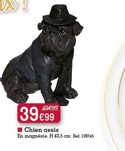 Chien Assis En Magnésie