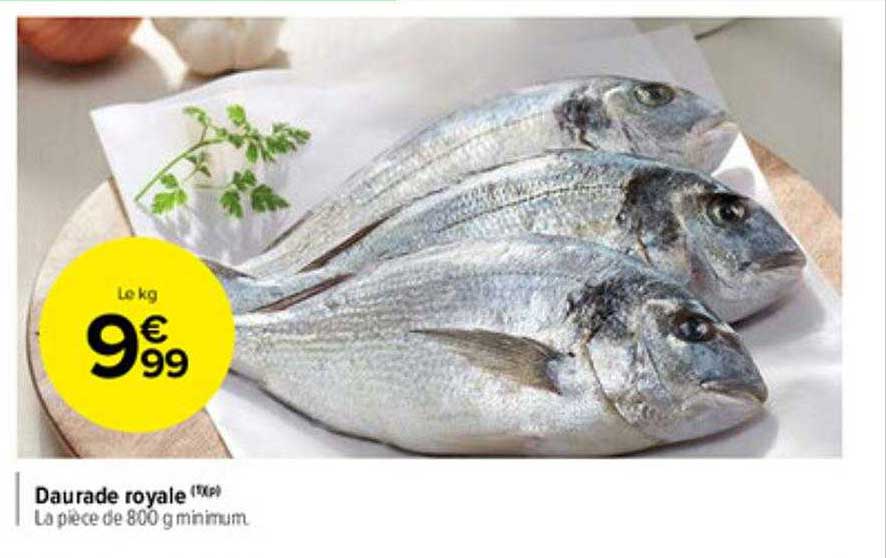 Daurade Royale