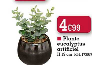 plante eucalyptus artificiel h 19 cm