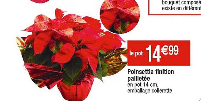 poinsettia finition pailletée