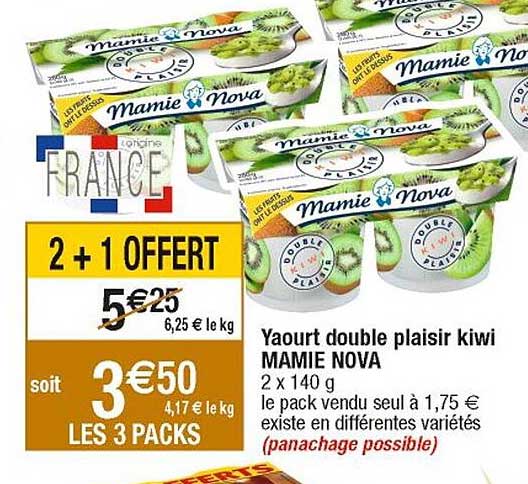 Yaourt Double Plaisir Kiwi Mamie Nova