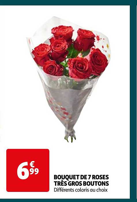 bouquet de 7 roses très gros boutons