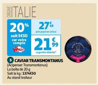 caviar transmontanus