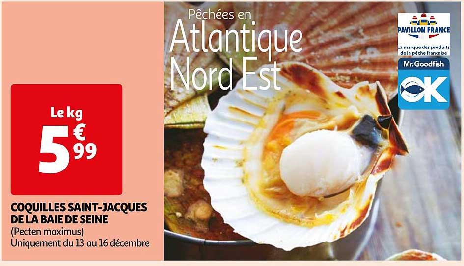 Coquilles Saint-jacques De La Baie De Seine