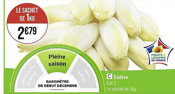 Endive