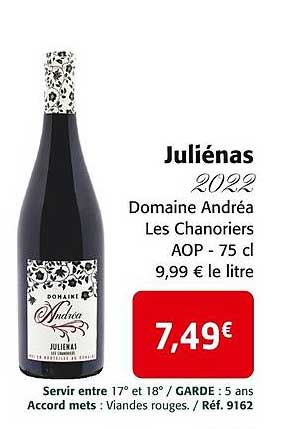 juliénas 2022 domaine andréa les chanoriers aop