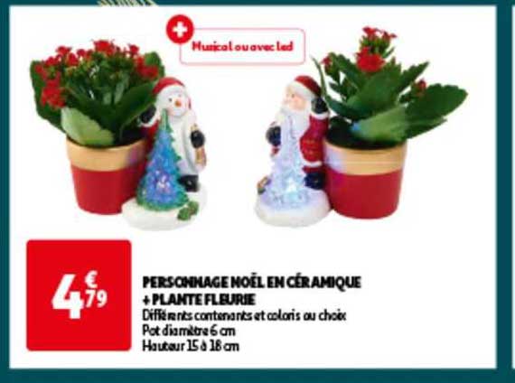 personnage noël en céramique + plante fleuri