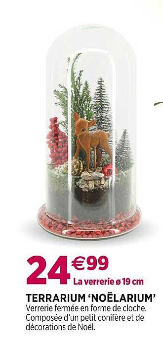 Terrarium 'noëlarium'