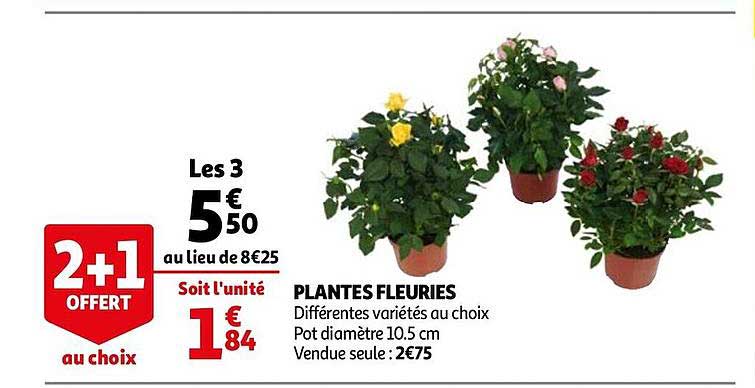 plantes fleuries