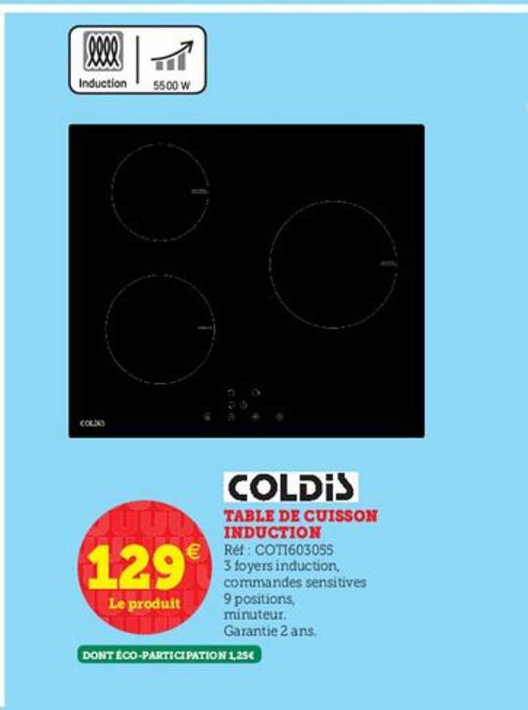 table de cuisson induction coldis