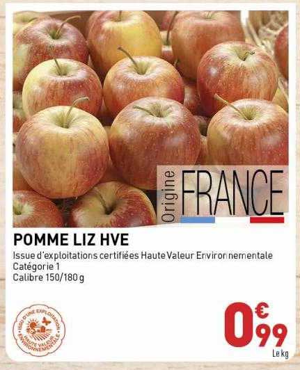 pomme liz hve