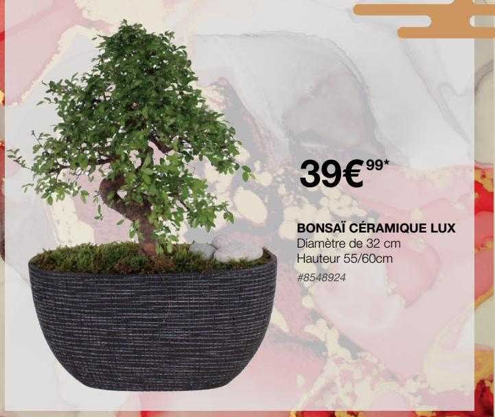 bonsaï céramique lux