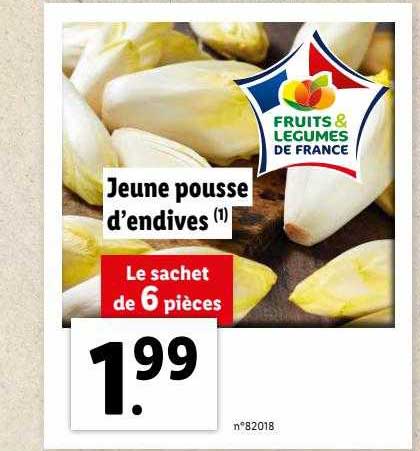 jeune pousse d'endives