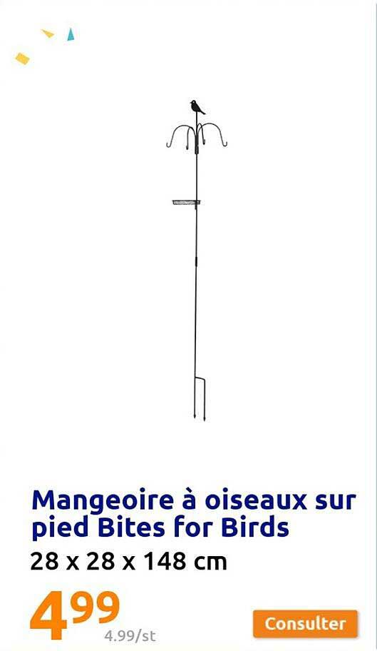 mangeoire à oiseaux sur pied bites for birds