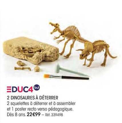2 dinosaures à déterrer educ4 bul