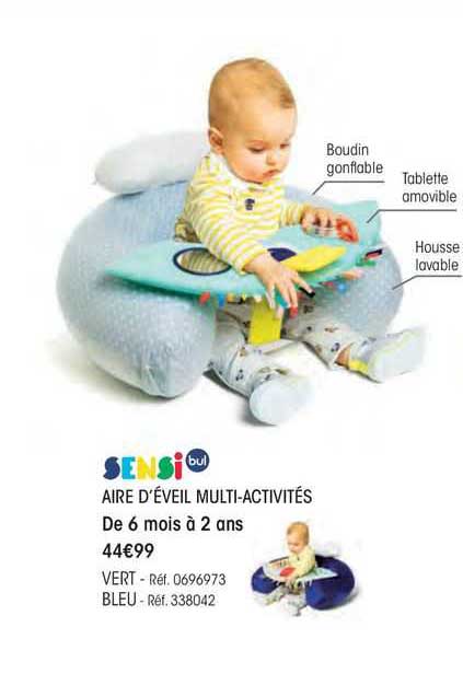 aire d'éveil multi-activités sensi bul