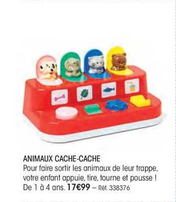 animaux cache-cache