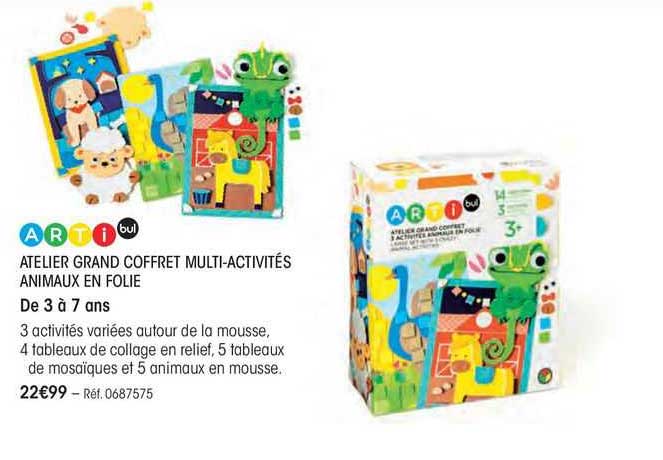 atelier grand coffret multi-activites animaux en folie