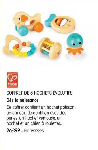 Coffret De 5 Hochets évolutifs Hape