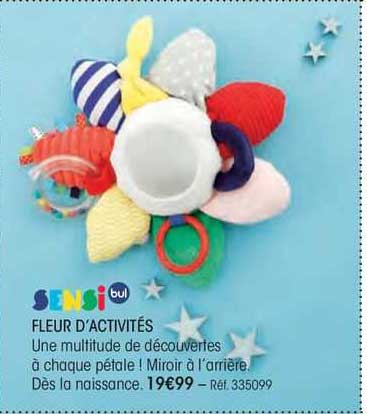 fleur d'activités sensi bul