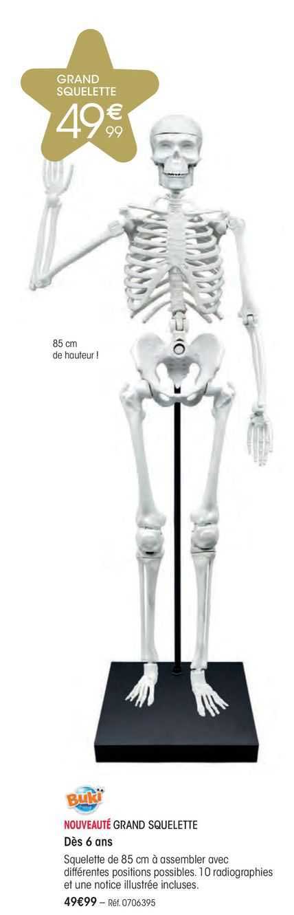 grand squelette bukï