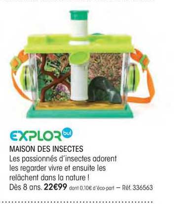 maison des insectes explor bul