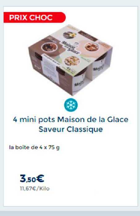 4 mini pots maison de la glace saveur classique