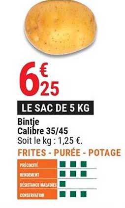 bintje calibre 35-45