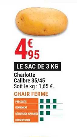 Charlotte Calibre 35-45