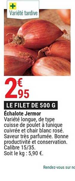 échalote jermor