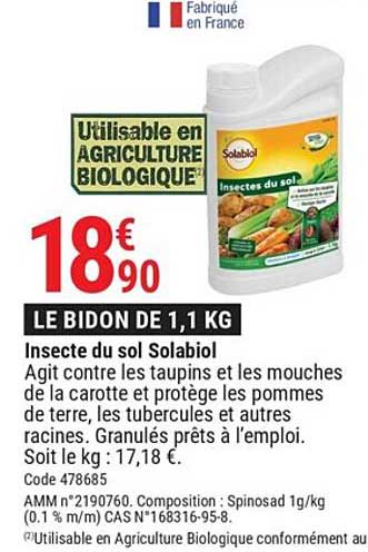 Insecte Du Sol Solabiol