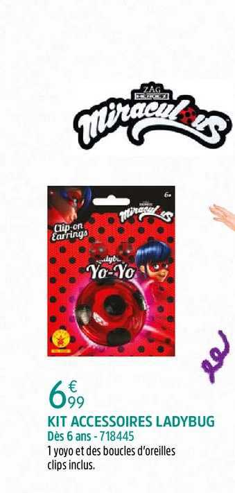 kit accessoires ladybug