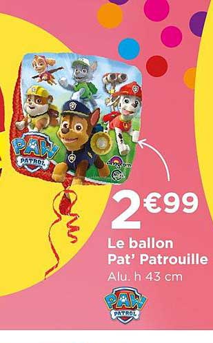 Le Ballon Pat'patrouille