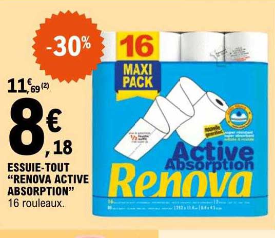 essuie-tout "renova active absorption"